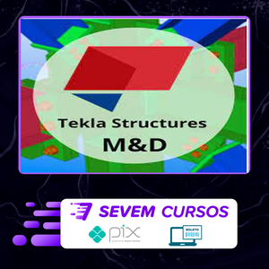 Curso Tekla Structures M&D - Fernando de Cesaro
