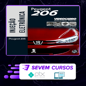 Injeção Eletrônica: Peugeot 206 - VideoCarro